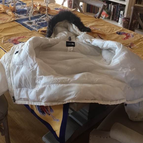 The north face jacket - Picture 3 of 12